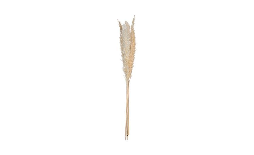 Dekorativní větvička Pampas 65 cm Baumax