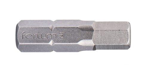 FORTUM-KITO bit IMBUS 5x25mm