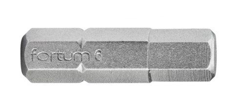 FORTUM-KITO bit IMBUS 6x25mm